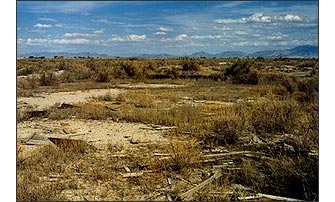 Site of the Topaz Camp in the Utah desert.