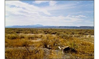 Site of the Topaz Camp in the Utah desert.
